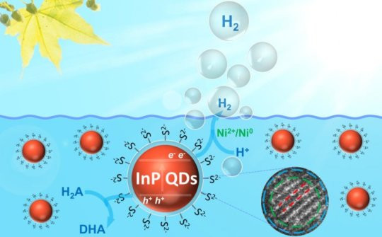 Production d'hydrogene catalytique à partir de boites quantique