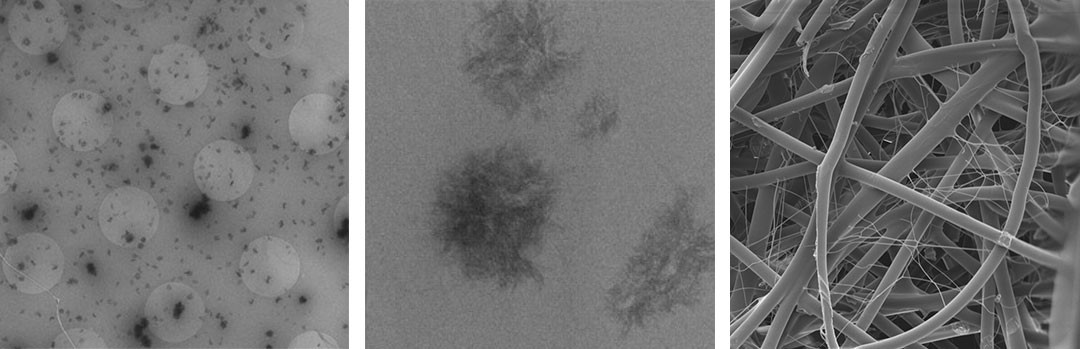 L'assemblage complexe de protéines vu par Spectroscopie à résonance nucléaire