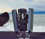 Google ferme Schaft, son unité de développement de robot bipèdes géants