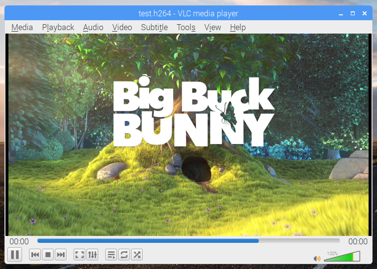 Raspbian VLC