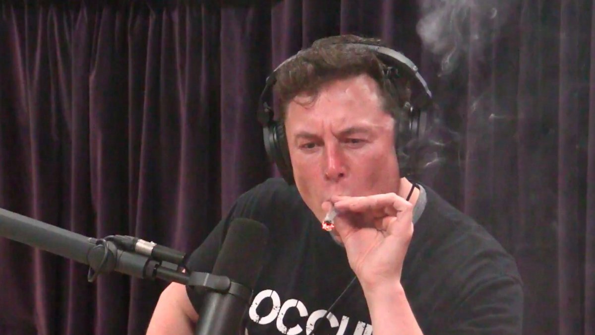 Elon Musk blunt