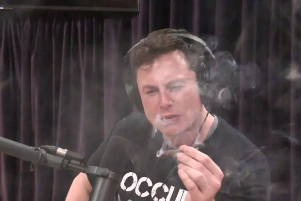 Elon Musk podcast Joe Rogan