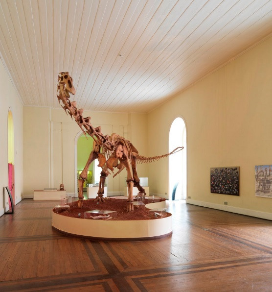 musée brésil google dinosaure.jpg