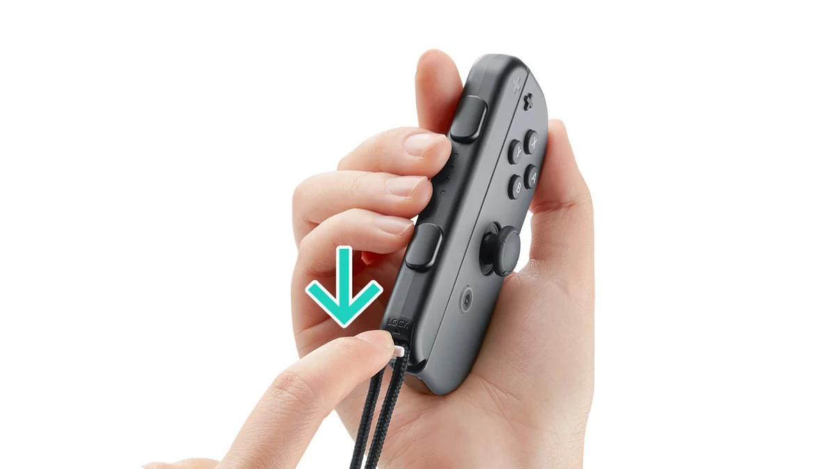 Dragonne Switch