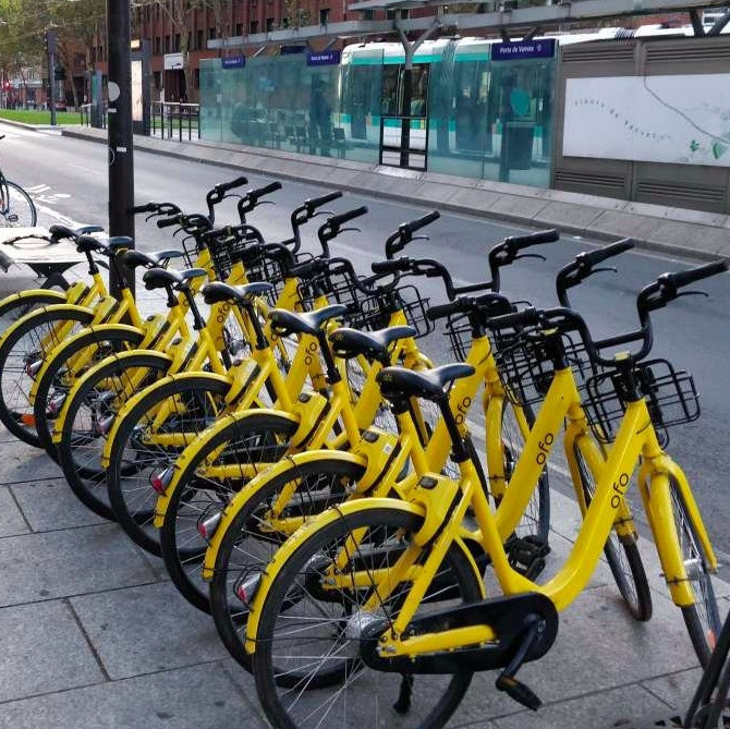 ofo customer service number