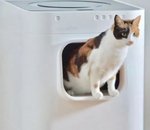 CES 2019 - LavvieBot : la litière autonettoyante pour les geeks (et leur chat)