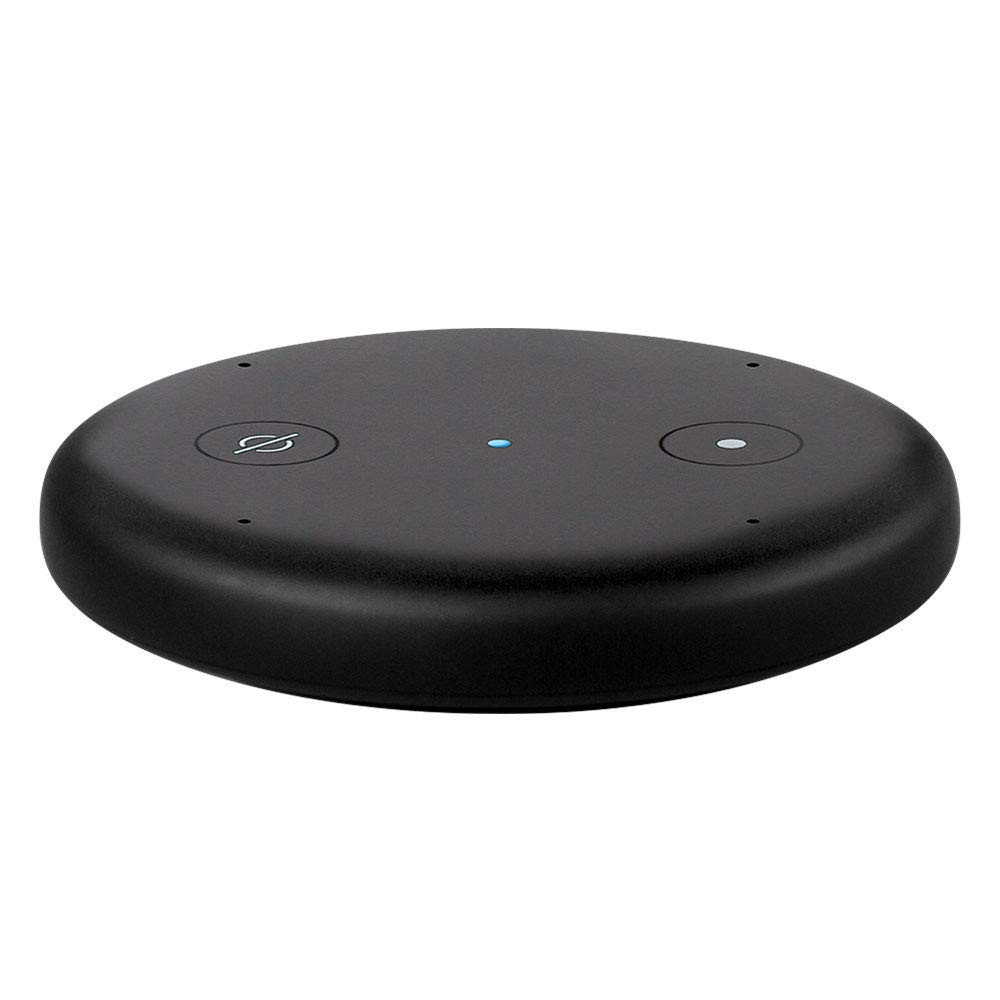 Amazon Echo Input