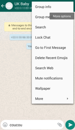 Télécharger et installer GbWhatsApp Nouvelle Version 4 raw