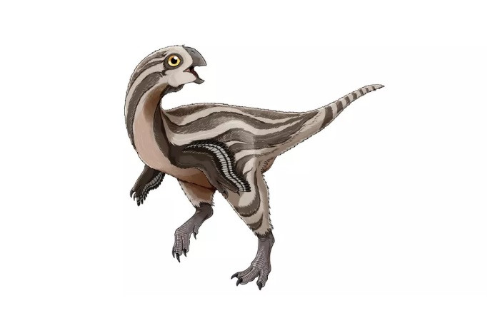 Gobiraptor minutus.jpg