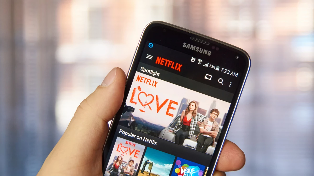 Netflix © dennizn / Shutterstock.com