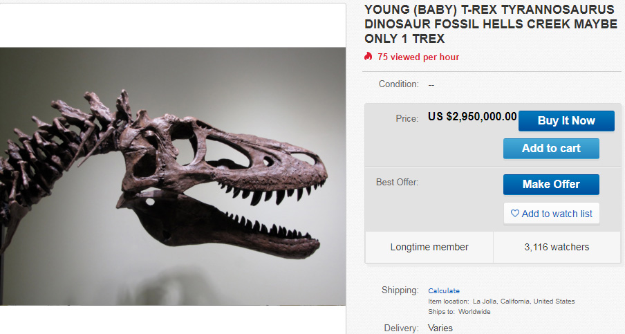 T Rex eBay