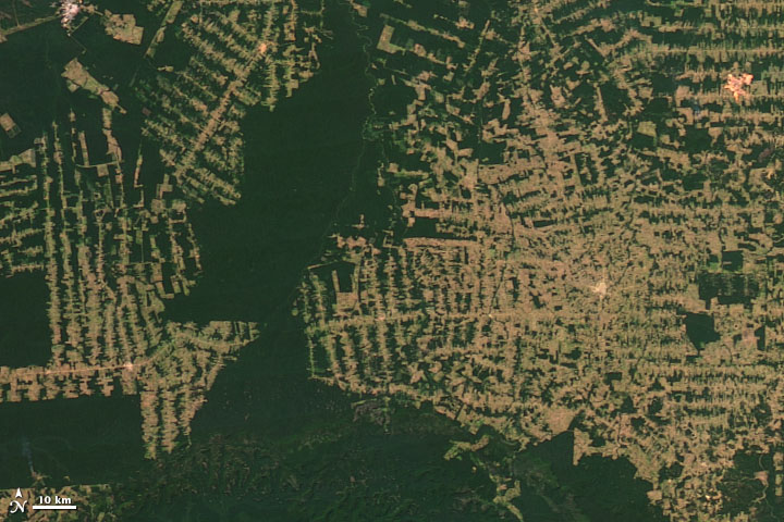 amazon_deforestation_20120718.jpg