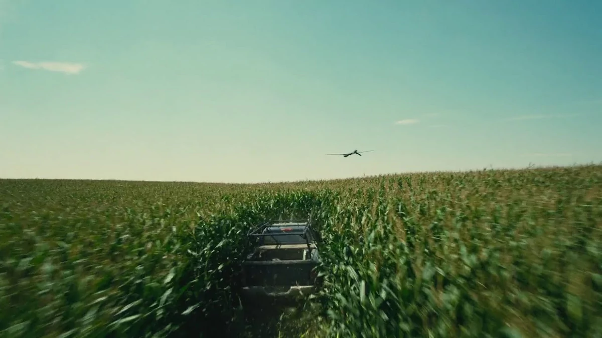 Interstellar Cornfield