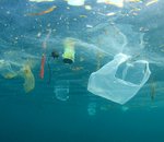 Les bioplastiques sont-ils la solution environnementale tant attendue ?
