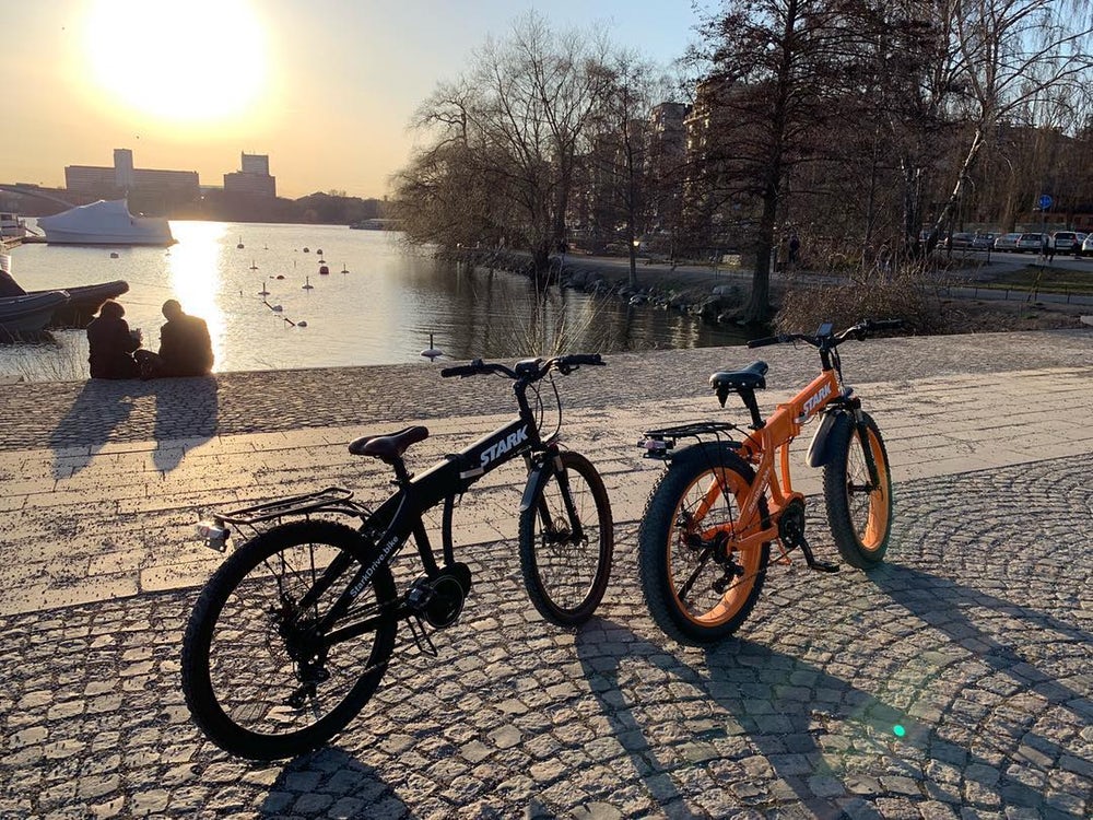 stark ebike