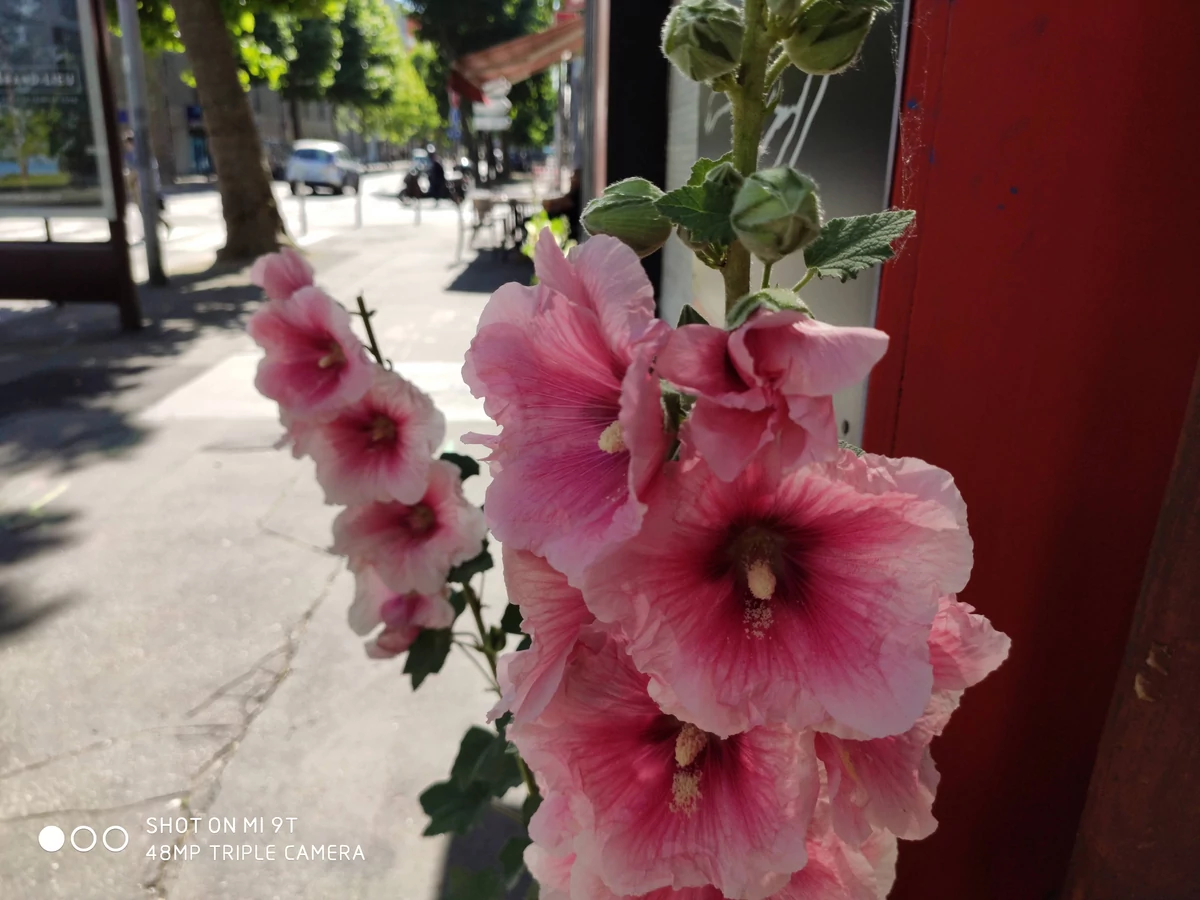 Xiaomi Mi 9T test