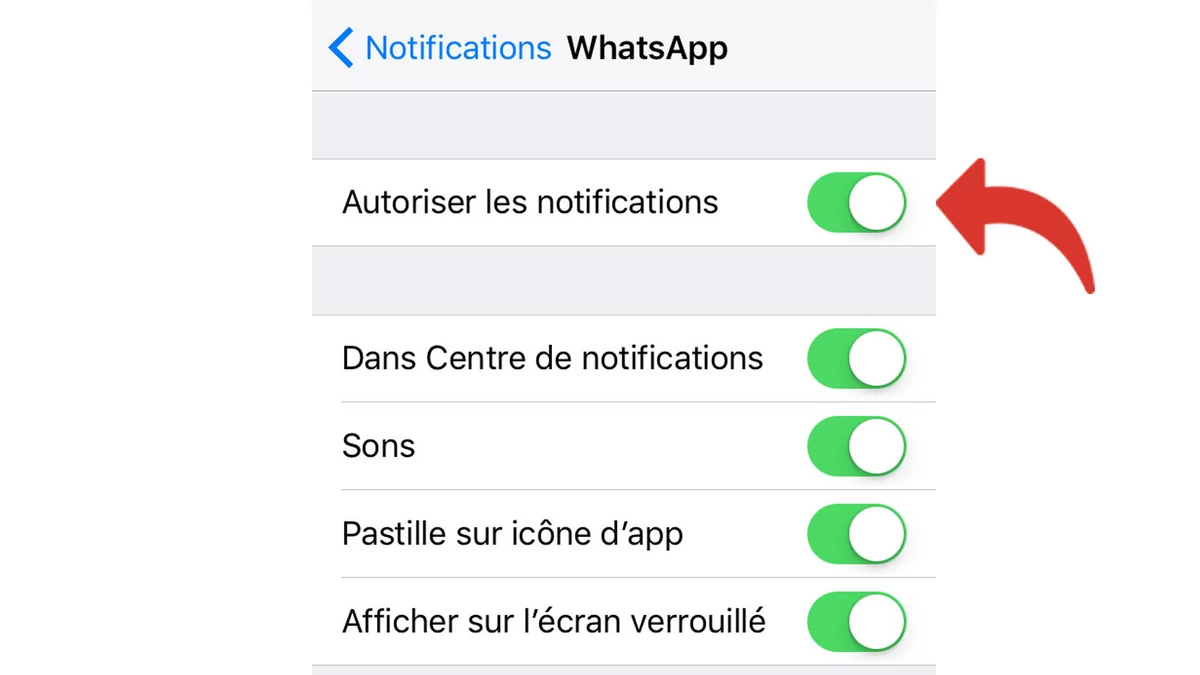 tutoriel whatsapp