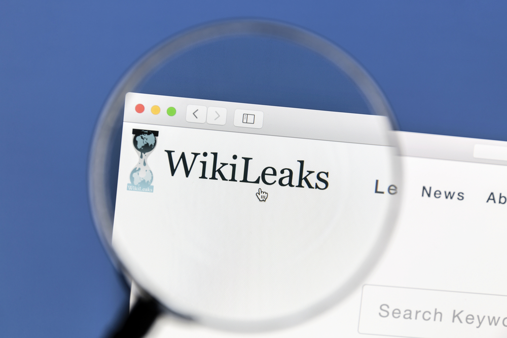 wikileaks bitcoins