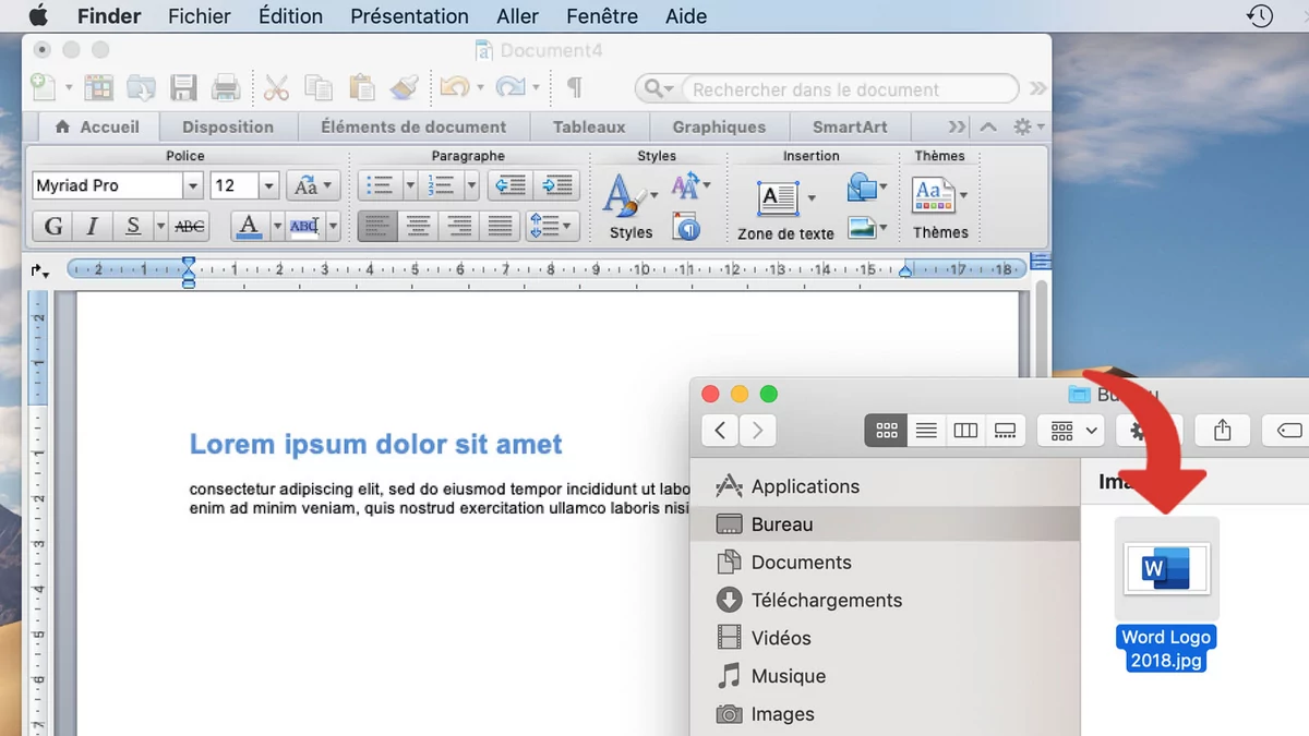 tutoriel word
