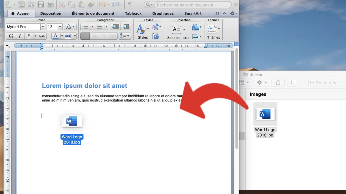 tutoriel word