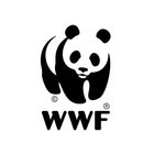 Les NFT peuvent-ils être écoresponsables ? La WWF a essayé… en vain