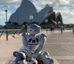 Les Français de Rhoban remportent la coupe du monde de football des robots