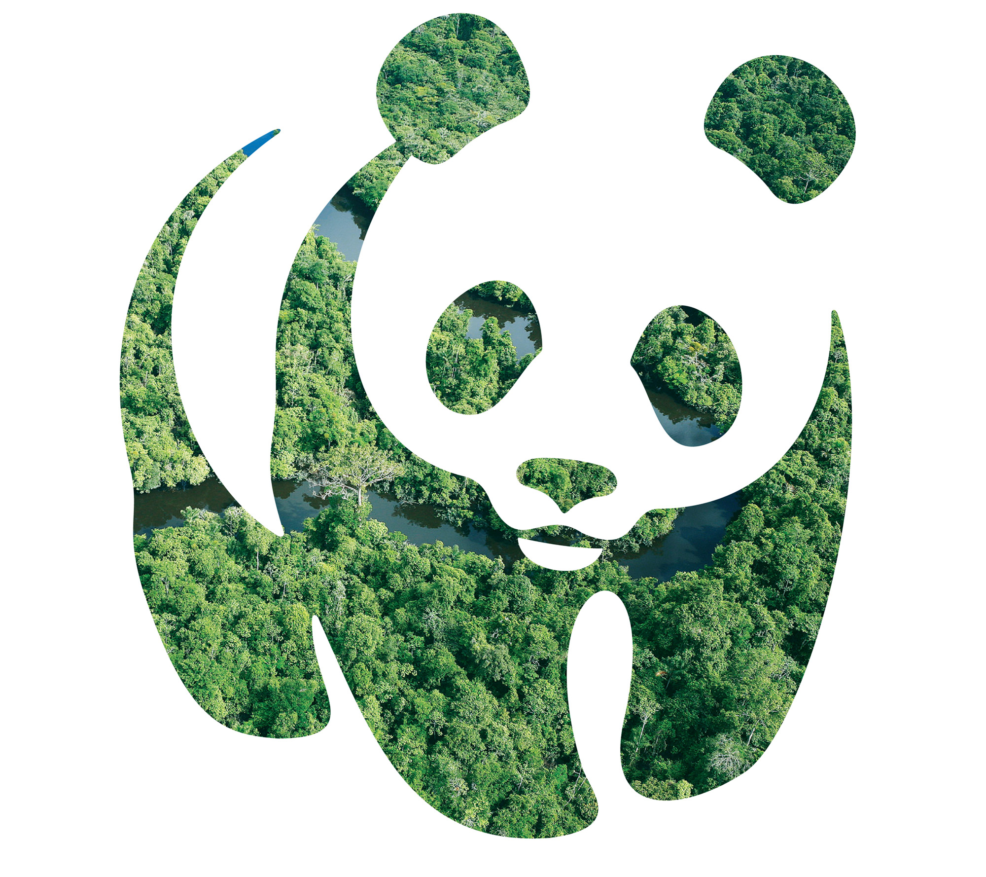 wwf россии картинки