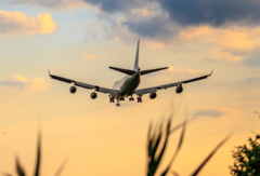 Biocarburant : les vols long-courriers bientôt tous concernés ?