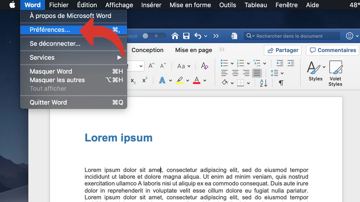 tutoriel word