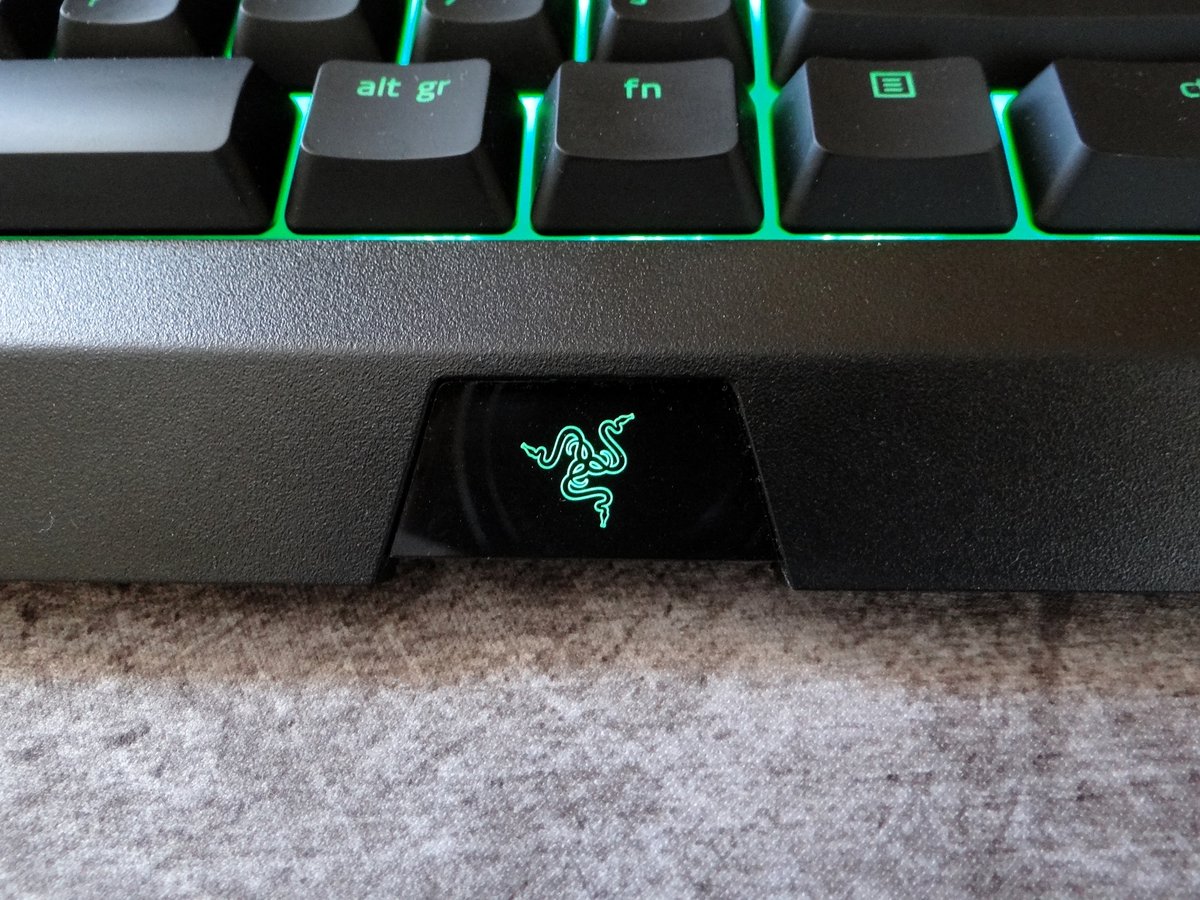 Razer Cynosa Chroma_test1