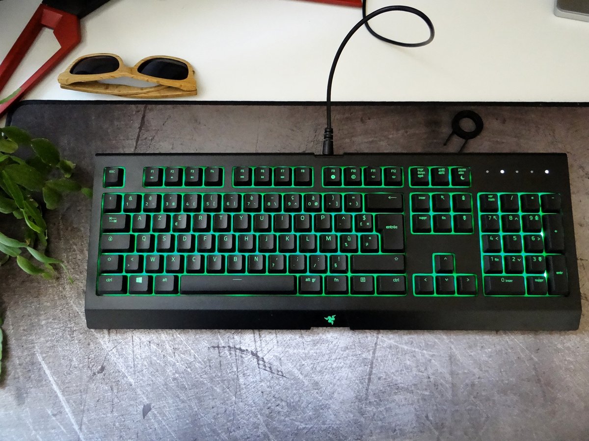 Razer Cynosa Chroma_test9