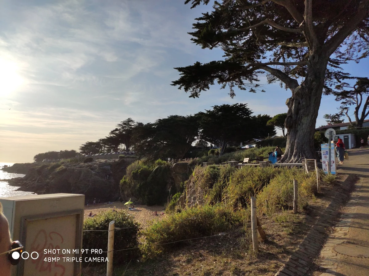 Xiaomi Mi 9T Pro test