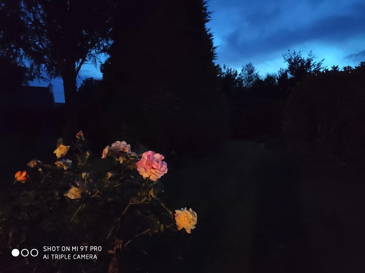Xiaomi Mi 9T Pro test