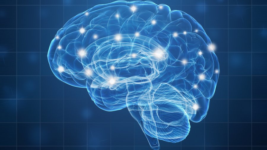 Des scientifiques militent pour des "neuro-droits" protégeant notre cerveau contre des manipulations technologiques