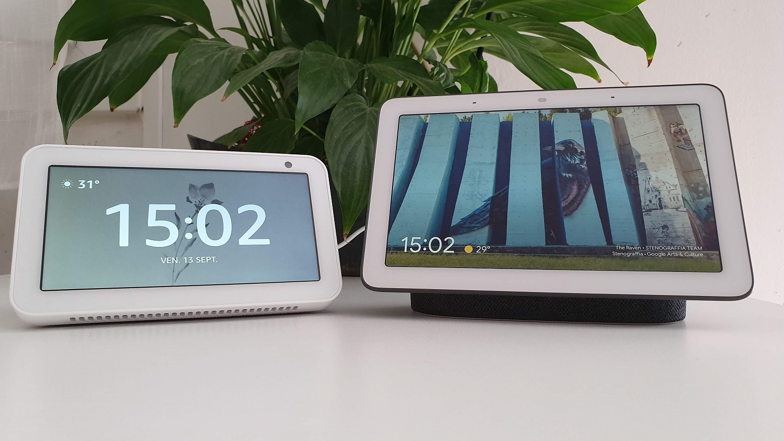 nest hub vs echo show 5