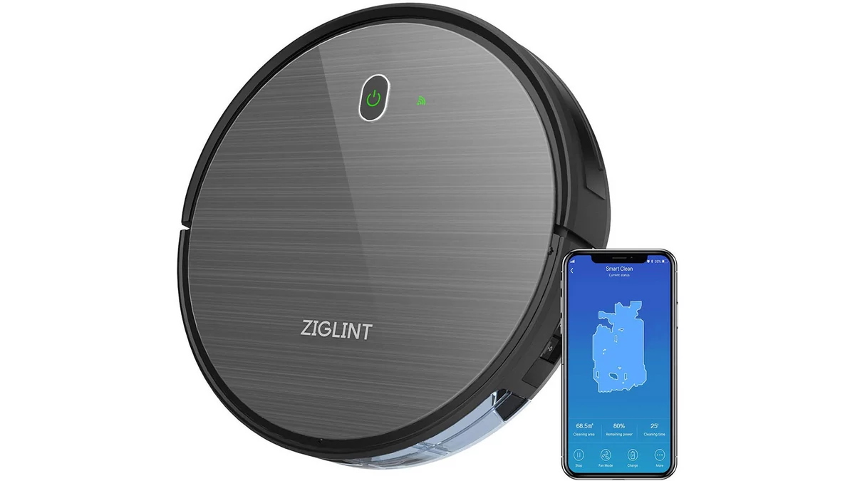 ZIGLINT