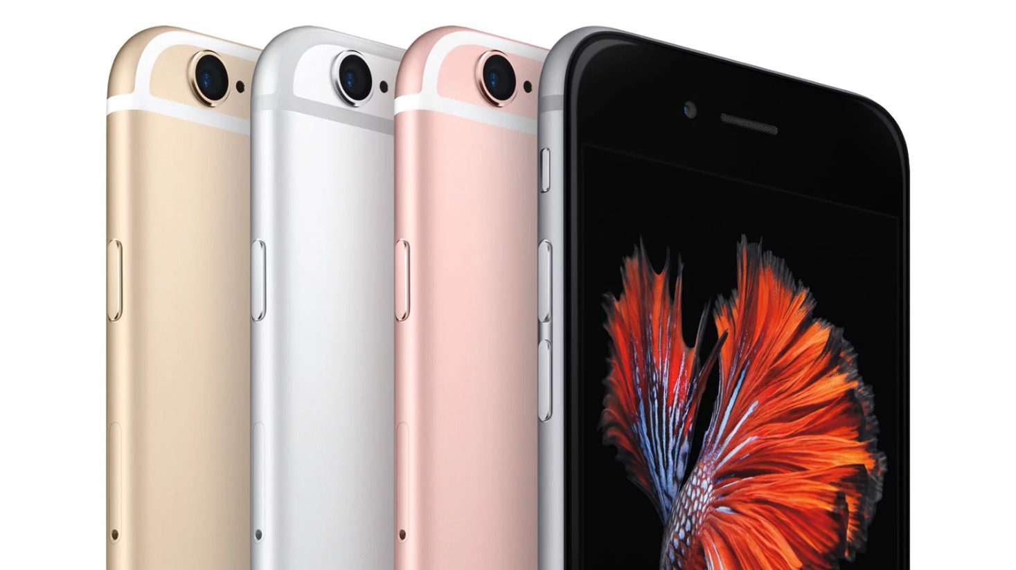 Les iPhone 6S et iPhone SE (1re gen) n'auraient pas le droit à iOS 15