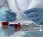 Une modélisation informatique arrive à déterminer de potentiels futurs foyers d'Ebola