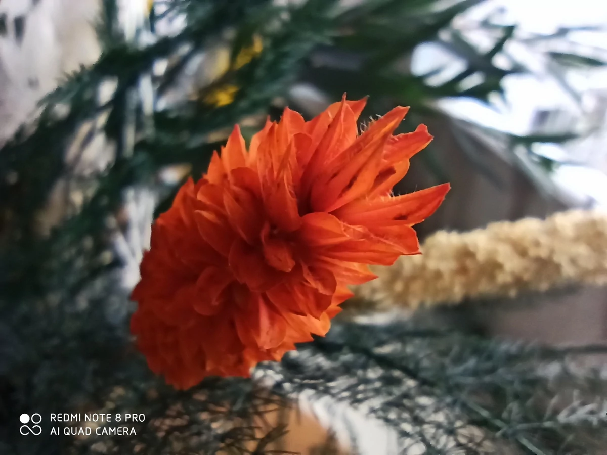 Redmi Note 8 Pro test