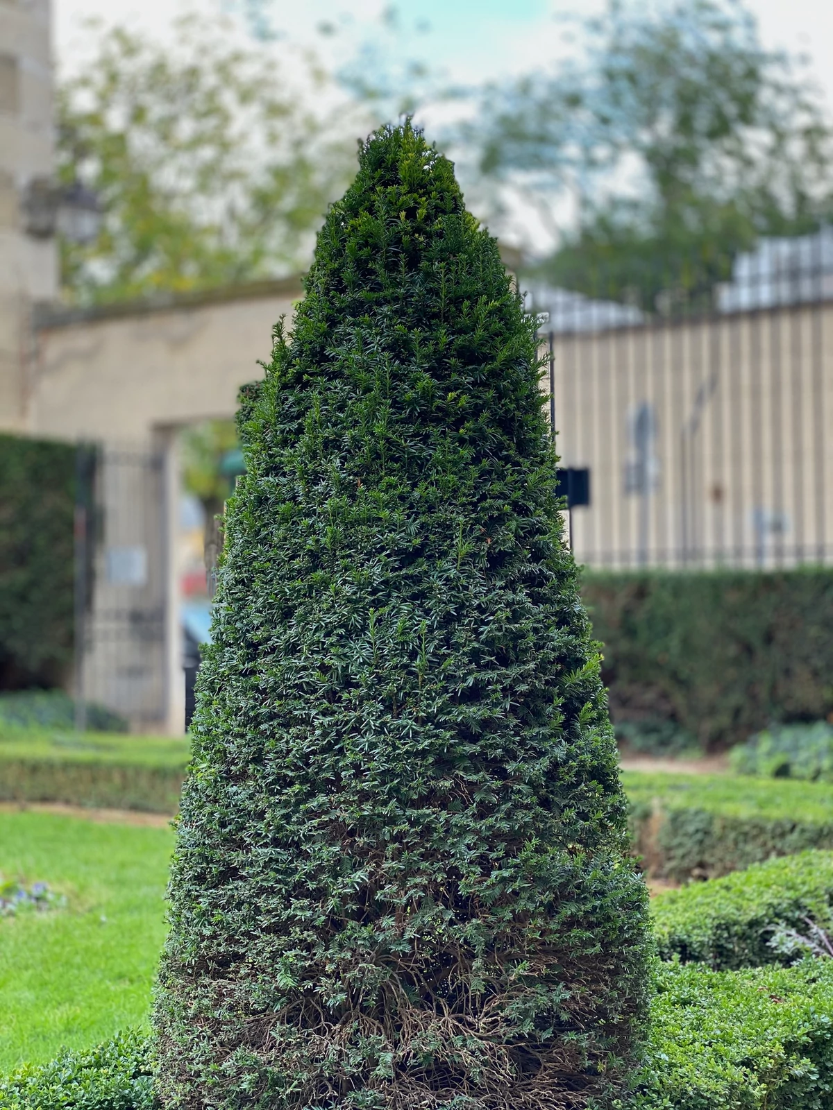 Bokeh raté.jpg