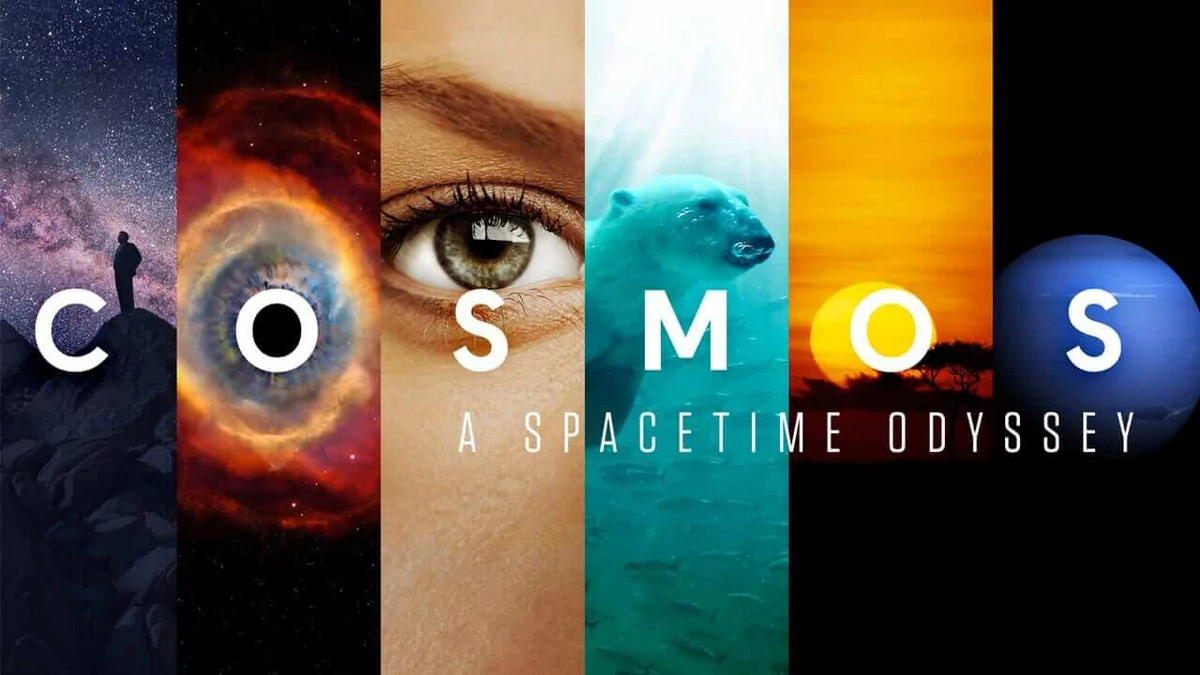 Cosmos
