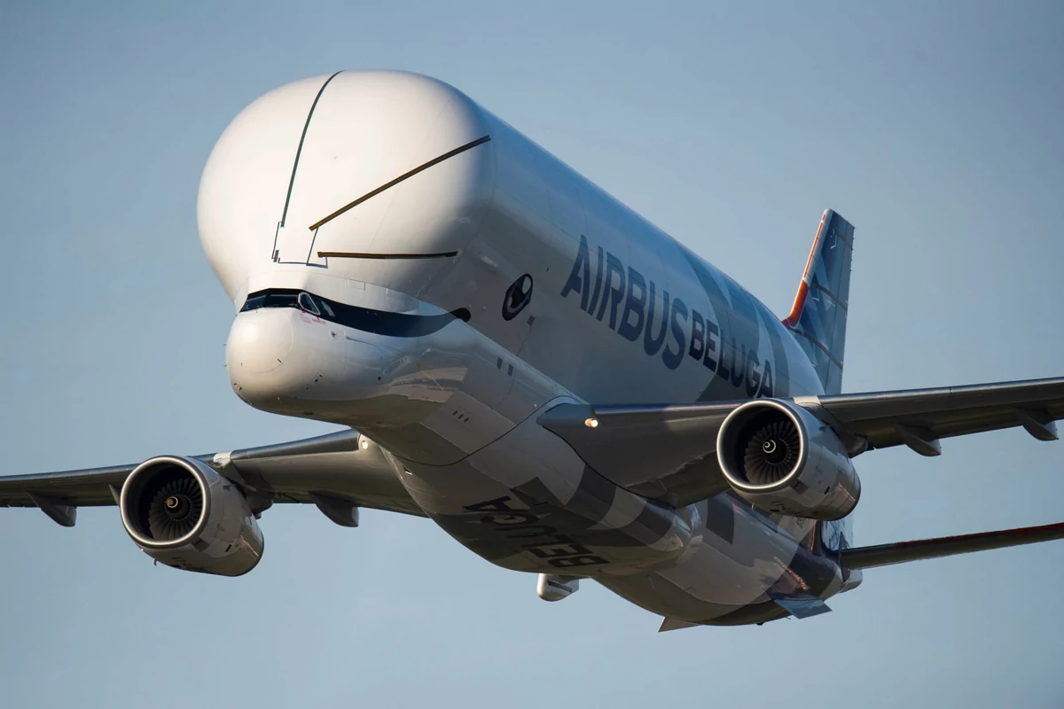 Beluga XL Airbus