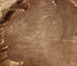 Une IA japonaise aide à identifier de nouvelles lignes de Nazca