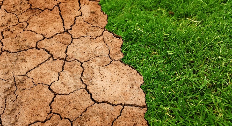 Changement réchauffement climatique