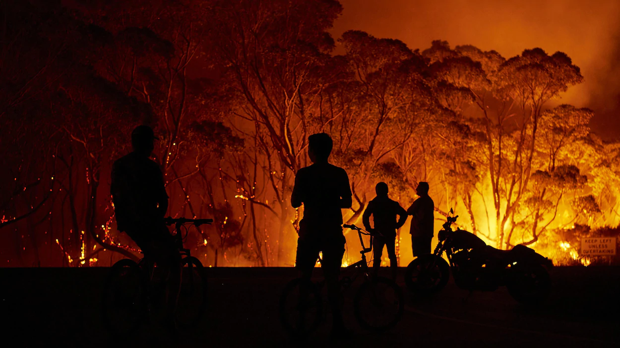 Google Maps et Search renseigneront désormais en temps presque réel sur les feux de forêts