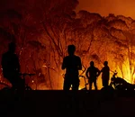 Google Maps et Search renseigneront désormais en temps presque réel sur les feux de forêts