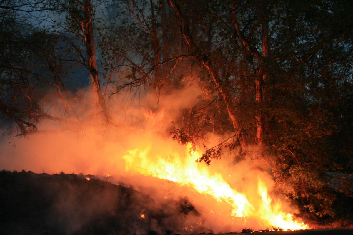 Les incendies australiens ont émis autant de CO2 que plus de cent pays