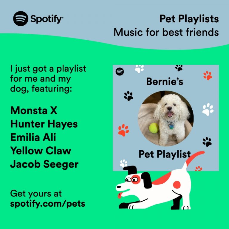 Spotify Pets