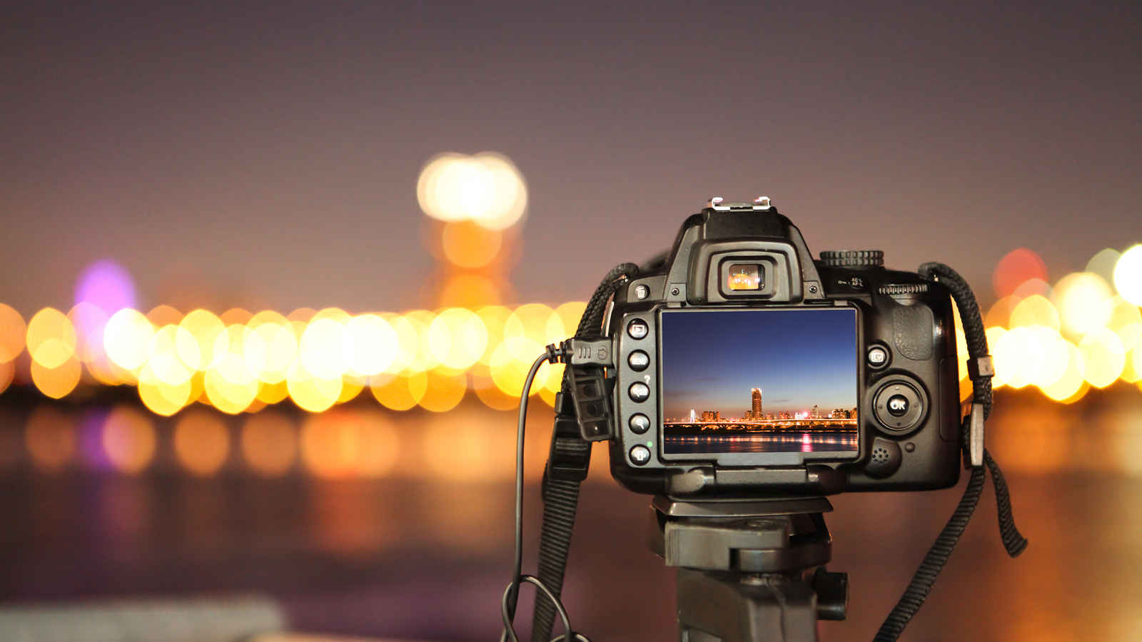 Les ventes d'appareils photo continuent leur inexorable chute