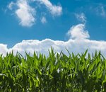 Le département américain de l'agriculture vise 30% de biocarburant d'ici 2050